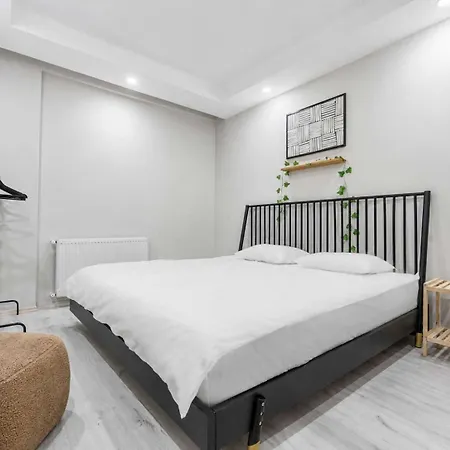 Maxihomes Swan