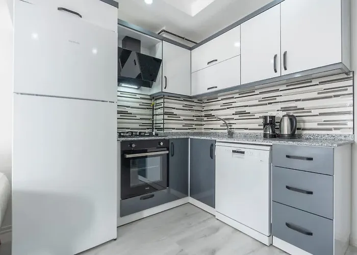 Comfortable 2Br Swan Apartment City Center Antalya